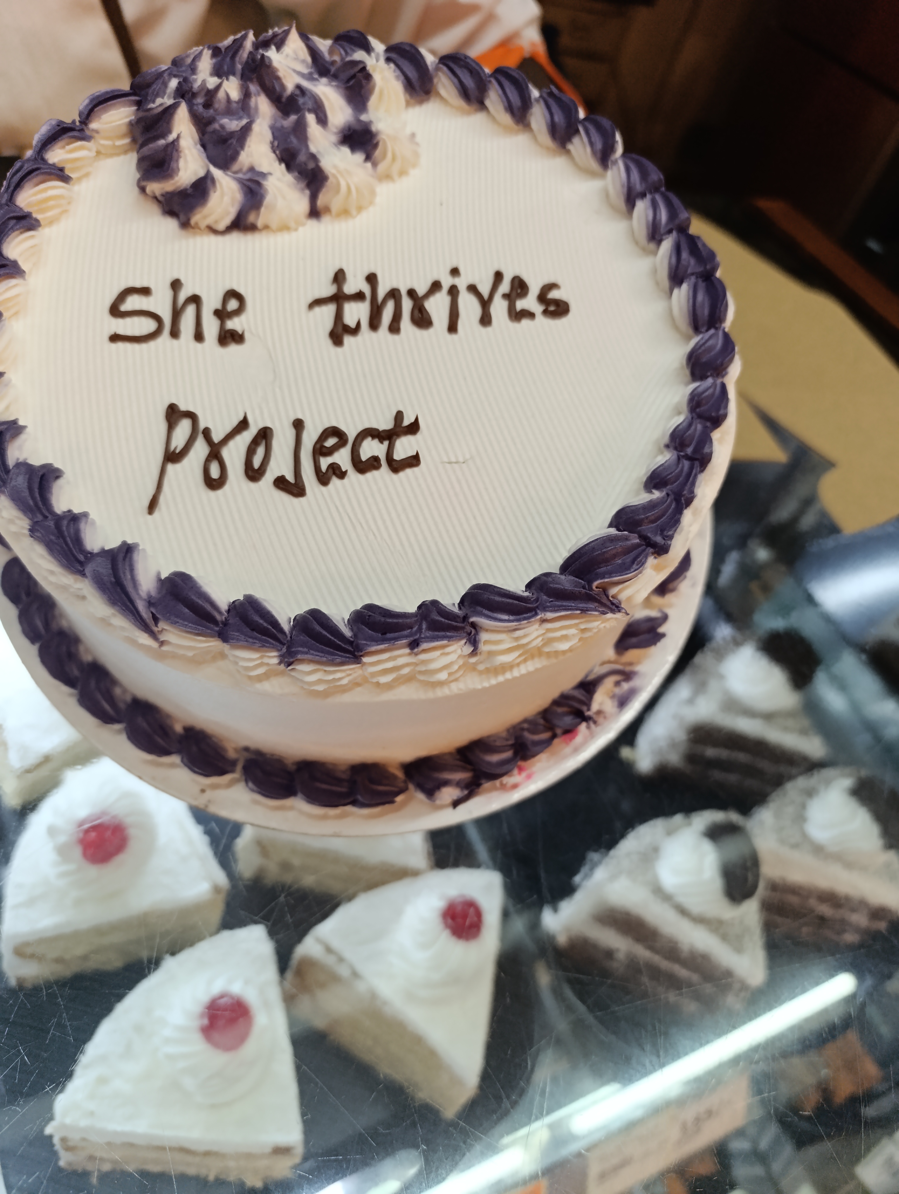 Great ladies she thrives project Lauching event